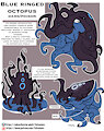 CRITTER CREATION_Blue ringed octopus