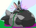 garden hose 