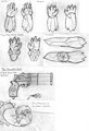 FlashCard Sketch Collection: Fantasy Refs and Wholesome Meme by milostroop