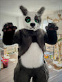 Ray the Pangoose - Fursuit
