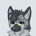 Hiro's reference sheet. by Hiro11