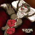 Yugo Ogami Paws