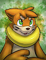 Buizel by Tyrnn