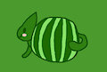 Watermelon Cat
