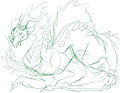 Dragon Sketches