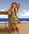 Beach Lion by Rahir
