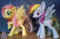 My Fluttershy and Rainbow Dash figures