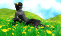 Dandelions (worksafe)