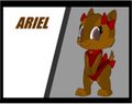 new puppy Ariel 