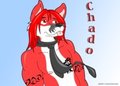 Chado -Commission-