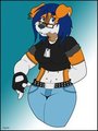 Gin -Commission-