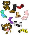 A Show Of Paws Please