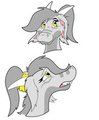 Trinity Head Shots