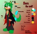 Sora Refference by MemoryRoad