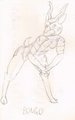 Species Sketches: Bongo