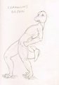 Species Sketches: Commerson's Dolphin by PalanteanWriter