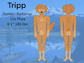 Tripp Ref sheet (gift) by fitte