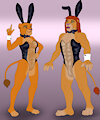 Bunny ears meme pic