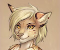 Trish - Desert Cheetah