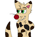 smug tazz