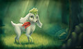 Into the Woods