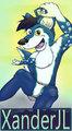 XanderJL phototag badge