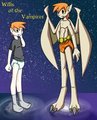  Shape of the Night 