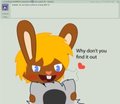 Ask 3 by Wopter