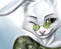 wink by RaineShadowpaw
