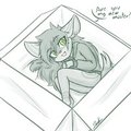 Shouk's delivery To Mythterious~!