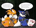Commission - Ninja Tails & Klonoa