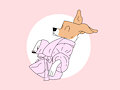 Spa Dog