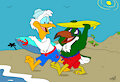 Surfing birds!