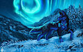 Winter wonderland by Flashwhite