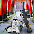 We Are Ninja