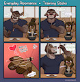 Everyday Roomance - Training Sticks by Tyroo