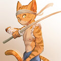Ninja Tiger Boy by Stampmats