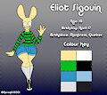 Eliot Sigouin Ref Sheet!
