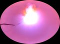 Pink Fire & Water