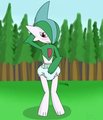 Gallade's padded hike