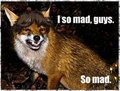 So mad. 