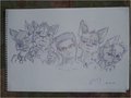 The Band >D by Blake404