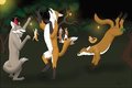 Kitsune dance
