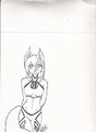 Skye the Werefox by DFC