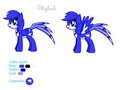 MLP:FIM OC: Skylark