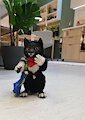 Little Balto at Ikea
