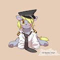 Derpilot Smol