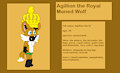 Agillion Ref Sheet