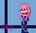 Happy Birthday Sky by sirathehedgehog