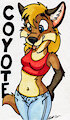 Coyote Card